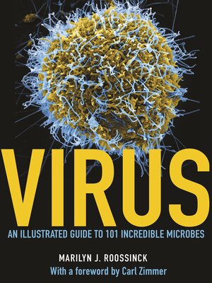 cover image of Virus